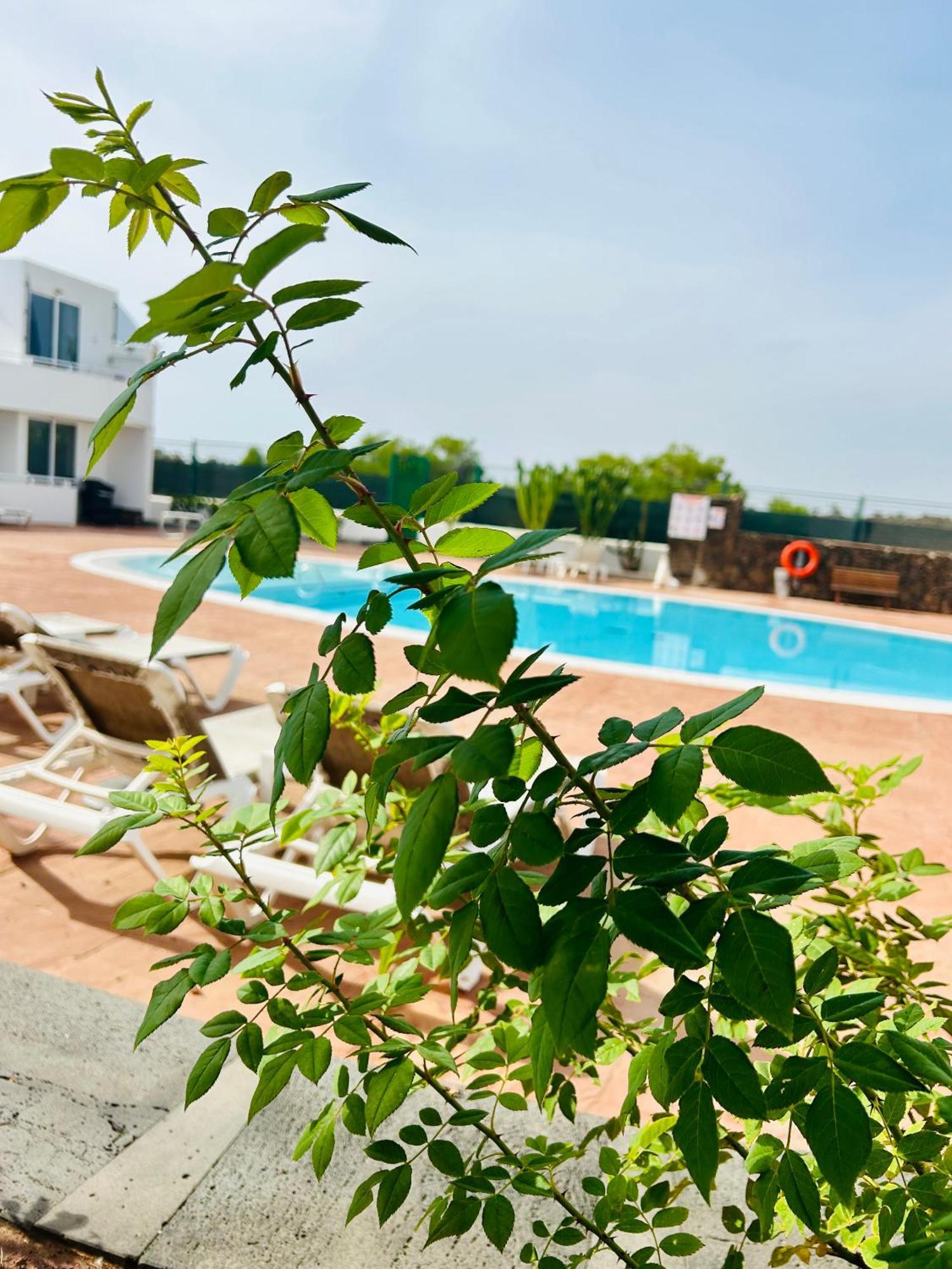 Apartmán Casa Alexia Teguise  Exteriér fotografie